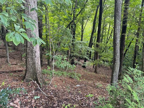 Photo for Lot 20 Rock Creek Ct Court