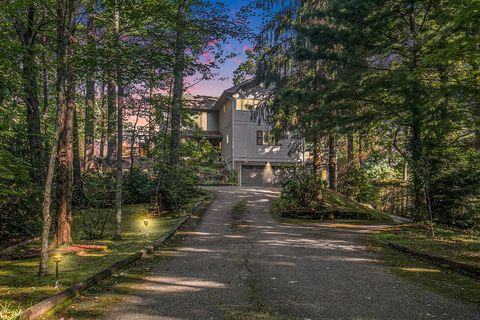 388 Alex Mountain Dr Sky Valley GA 30537