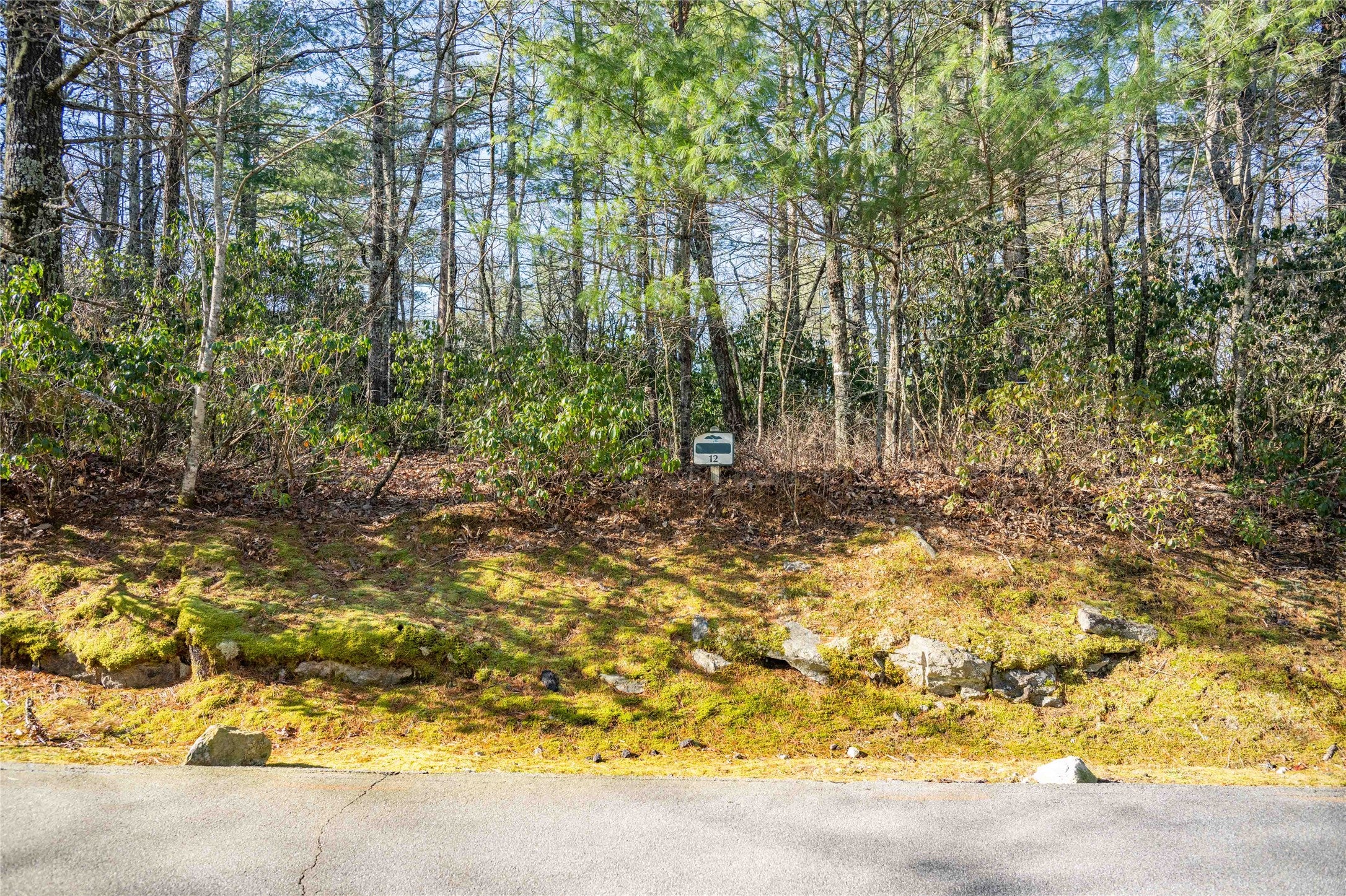 Lot 12 W Rochester Drive