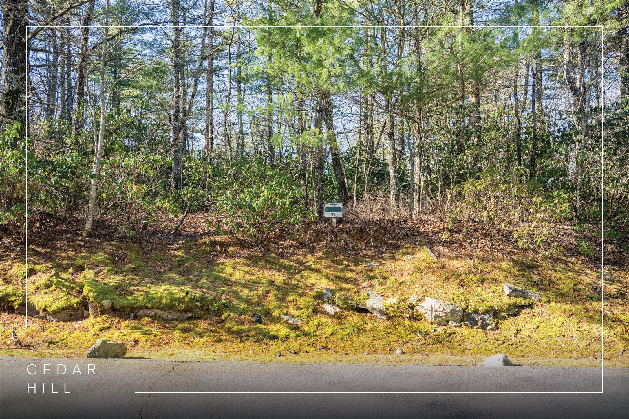 Lot 12 W Rochester Drive