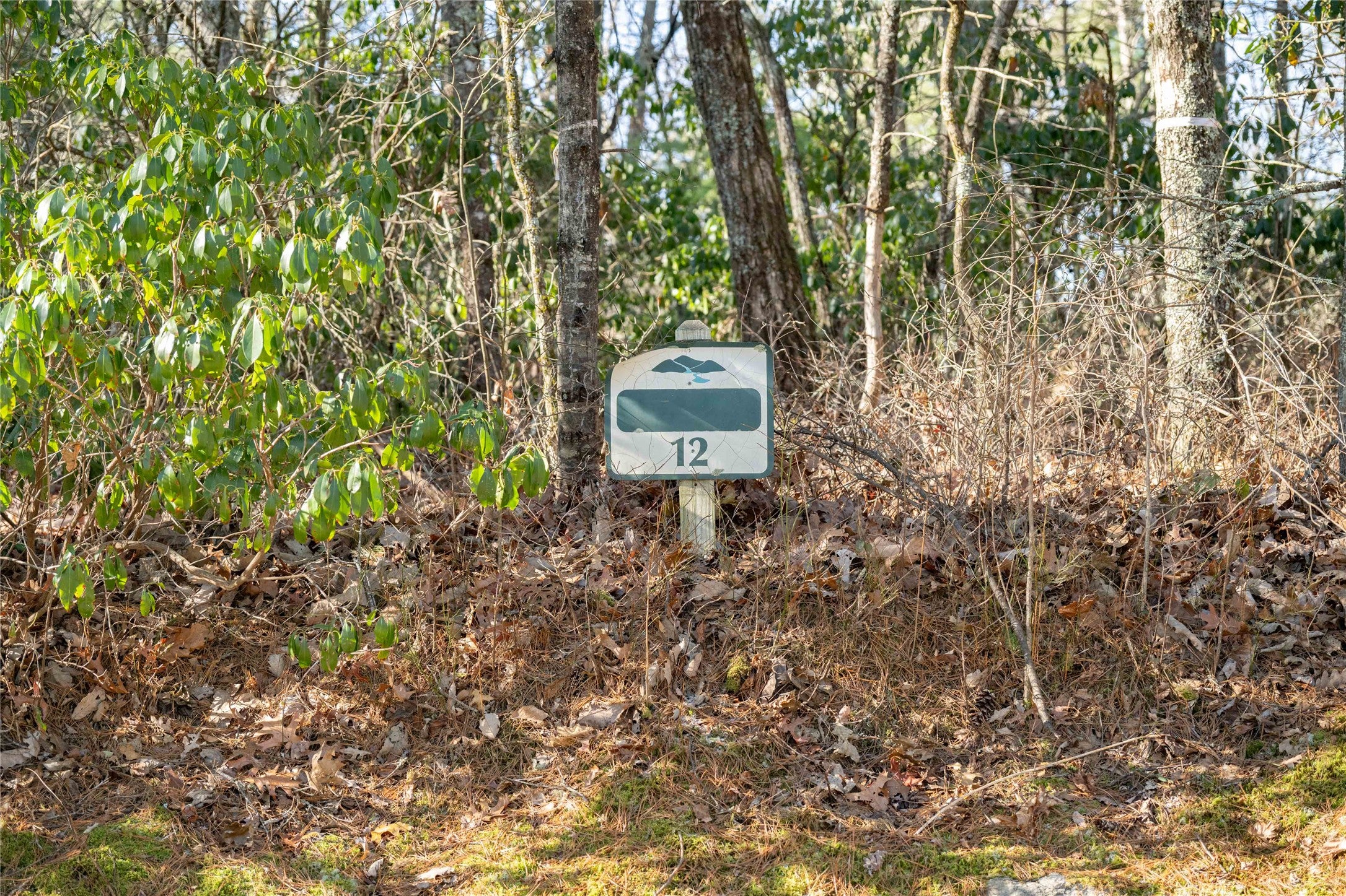 Lot 12 W Rochester Drive