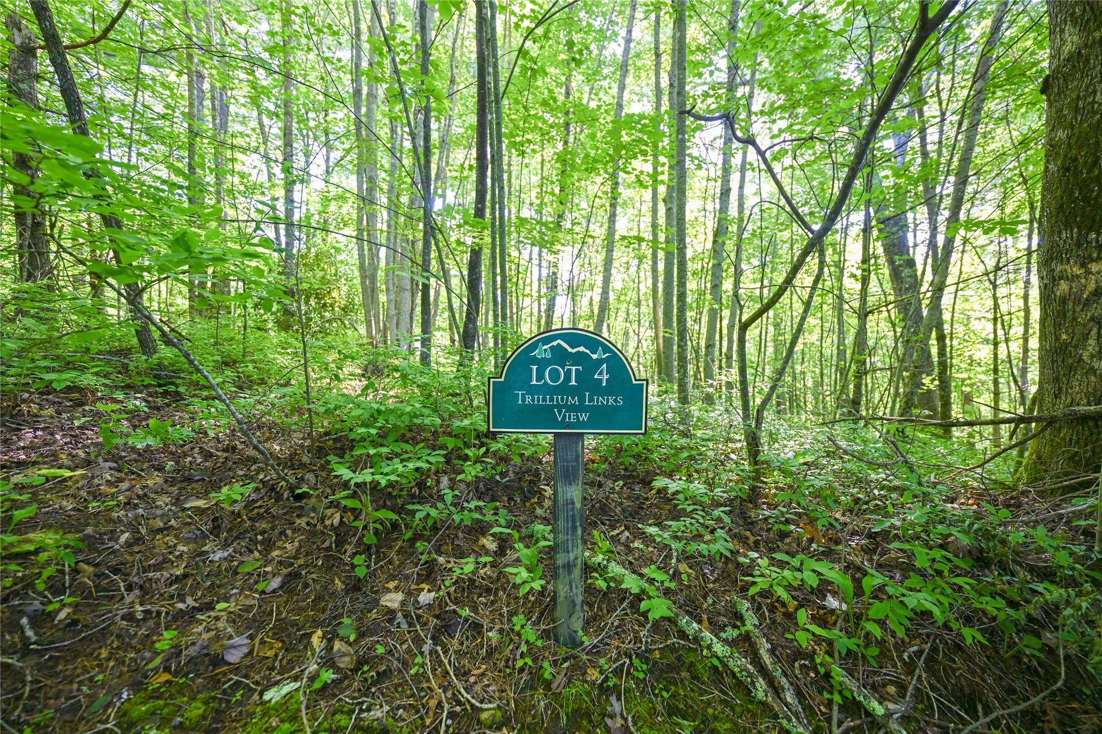 Lot 4 Luckies Way