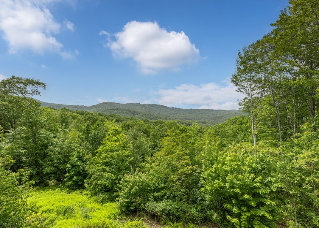 Glenville, North Carolina 28736, United States, 5 Bedrooms Bedrooms, ,6 BathroomsBathrooms,Residential,Active,151701