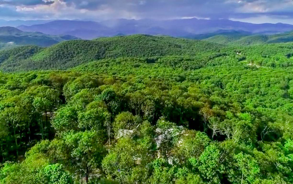 Glenville, North Carolina 28736, United States, 5 Bedrooms Bedrooms, ,6 BathroomsBathrooms,Residential,Active,151701