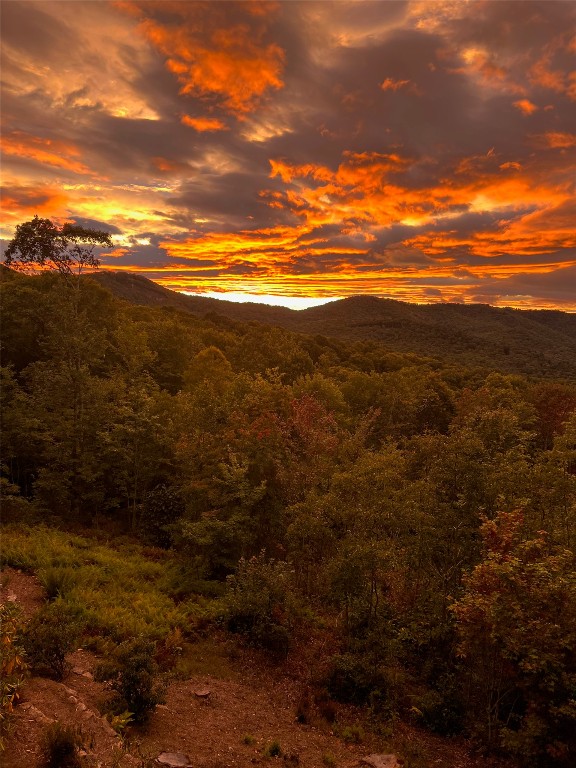 Glenville, North Carolina 28736, United States, 5 Bedrooms Bedrooms, ,6 BathroomsBathrooms,Residential,Active,151701