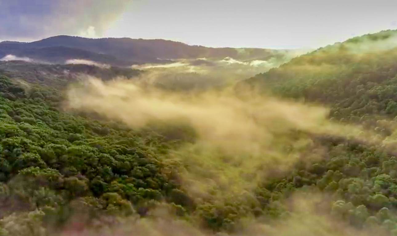 Glenville, North Carolina 28736, United States, 5 Bedrooms Bedrooms, ,6 BathroomsBathrooms,Residential,Active,151701