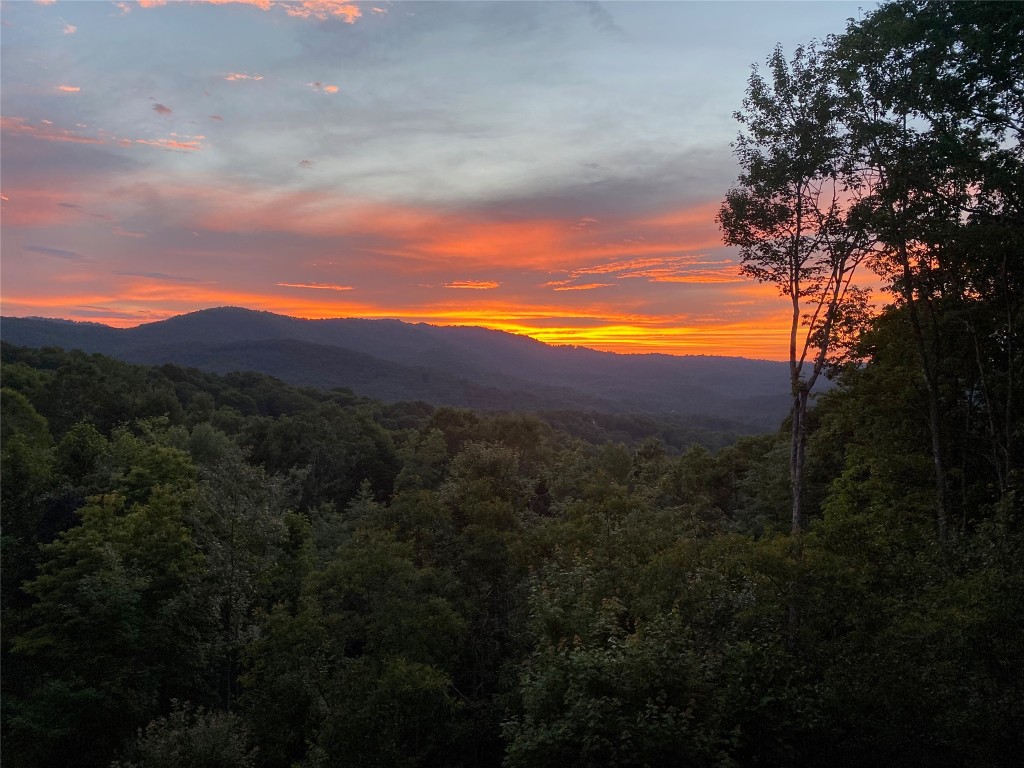 Glenville, North Carolina 28736, United States, 5 Bedrooms Bedrooms, ,6 BathroomsBathrooms,Residential,Active,151701