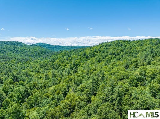 TBD CHASTAIN VALLEY ROAD, HIGHLANDS, NC 28741 - Image c0e7fdbf85c45f77d41dff44721d5194/199876676