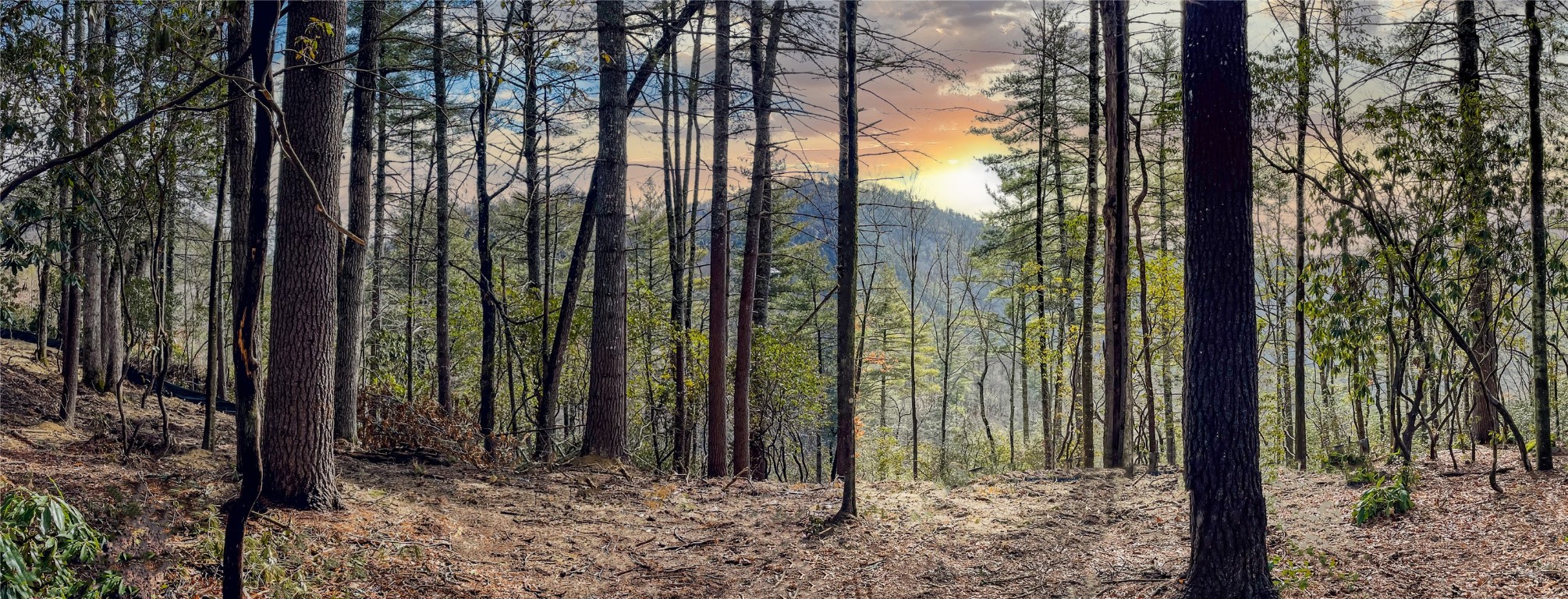 Cashiers, North Carolina 28717, United States, ,Land,Active,225171