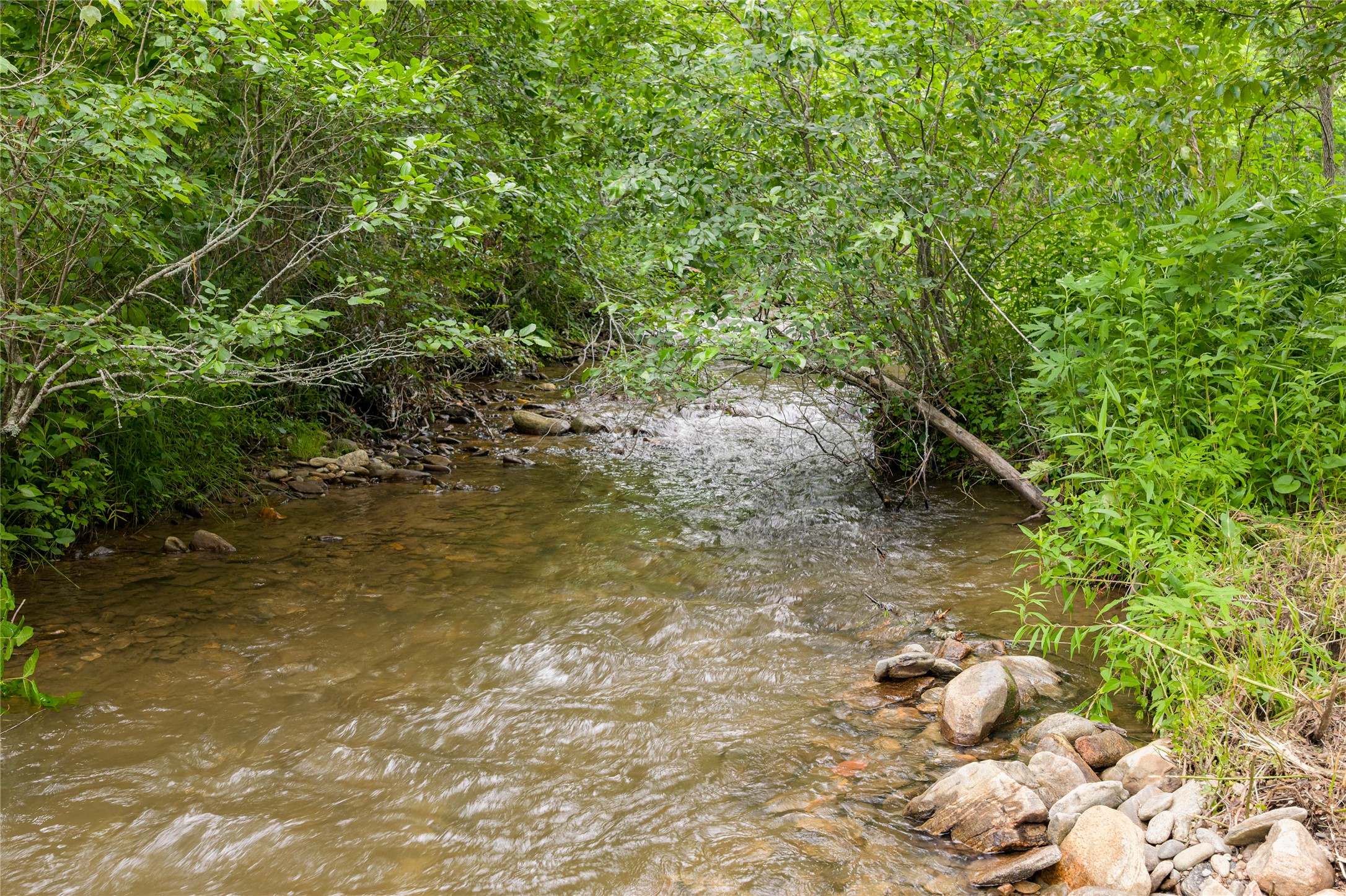 1152 Moses Creek Road