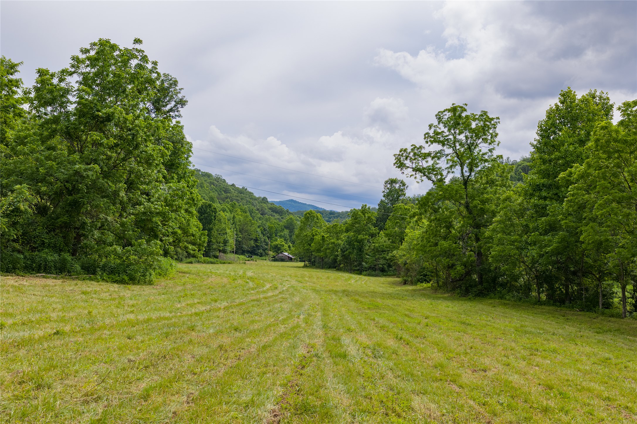 1152 Moses Creek Road