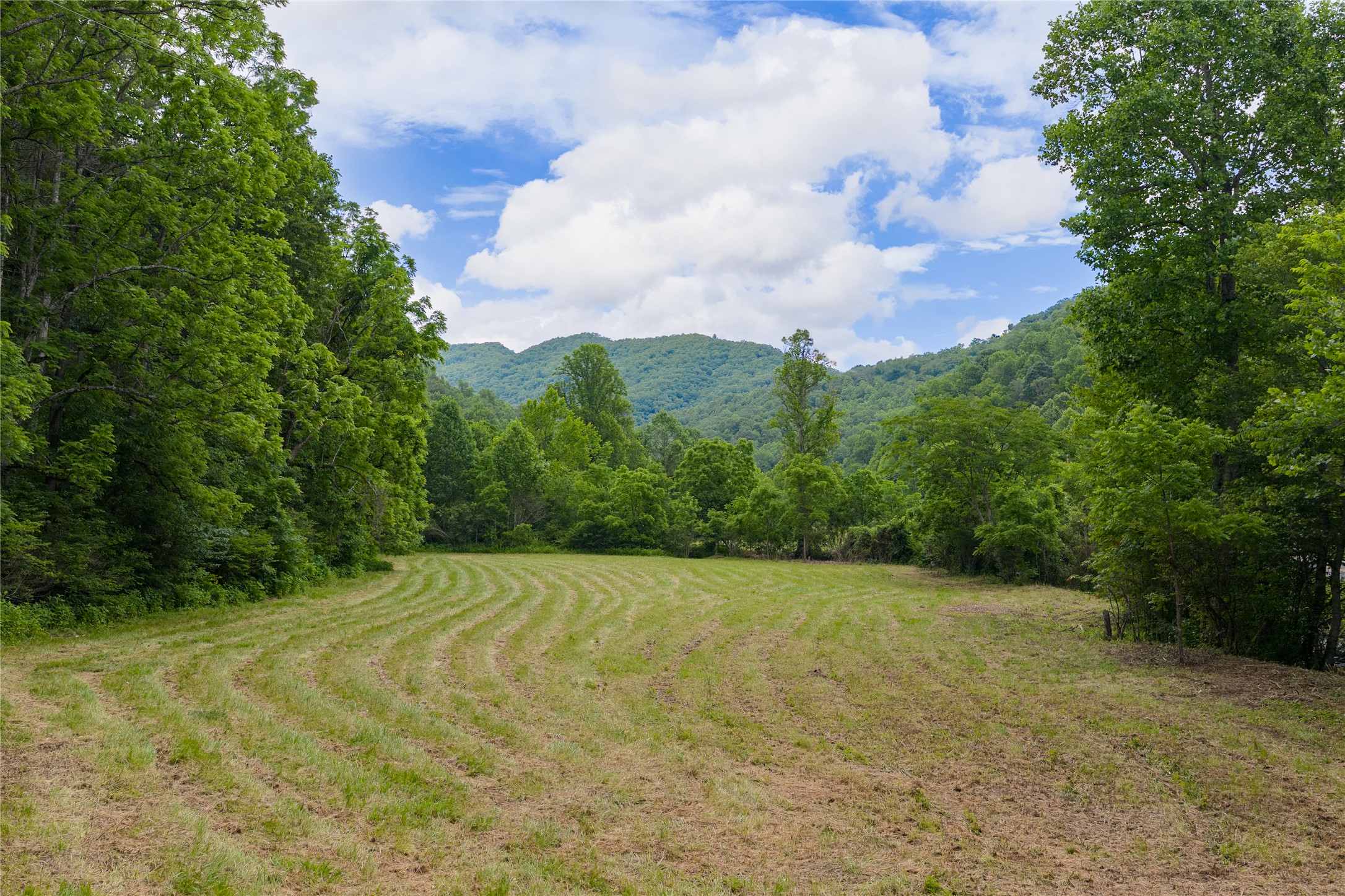 1152 Moses Creek Road