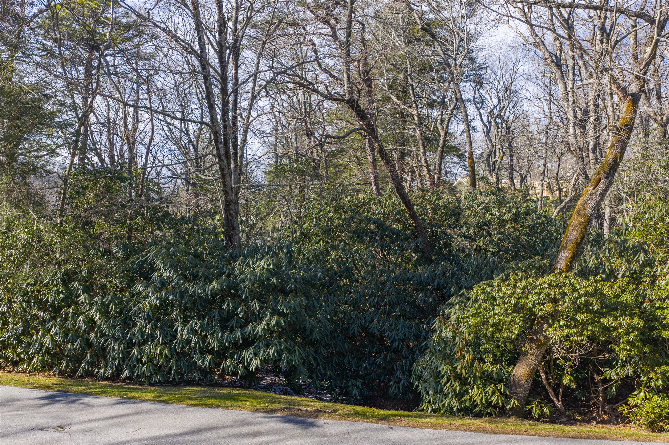 Lot 10 Ravenel Ridge Road