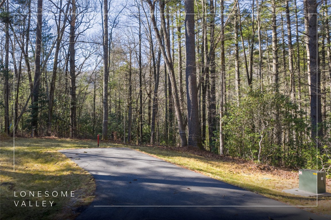 172 Lonesome Valley Road