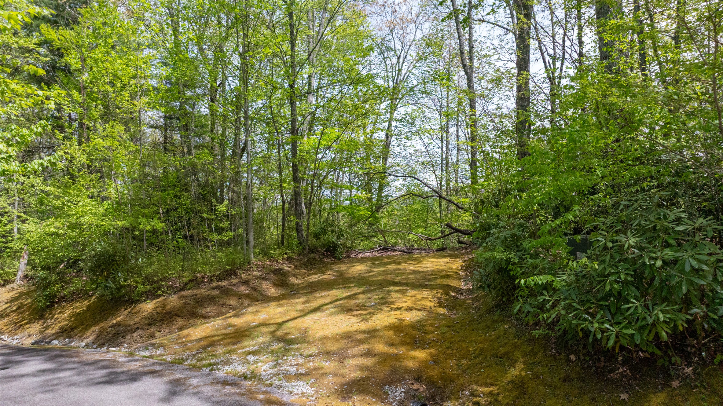 133 Horseshoe Bend Lane