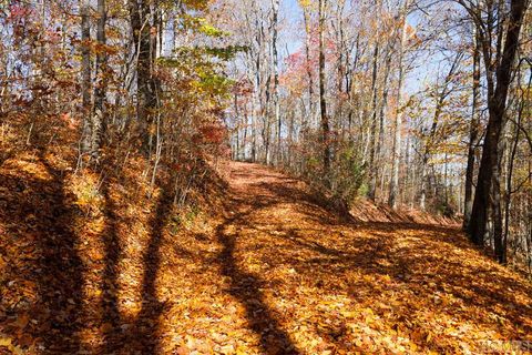 na High Point View Road Scaly Mountain NC 28775