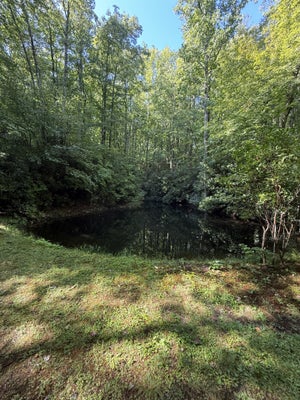 6 OLD FORD RD, CASHIERS, NC 28717 - Image d2b9ad2b9bd0b4f010519cc5a11f031a/604347330