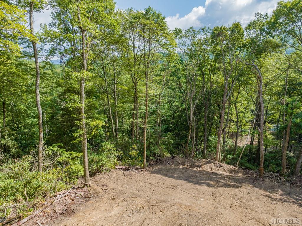 Highlands, North Carolina 28741, United States, ,Land,Pending,20719