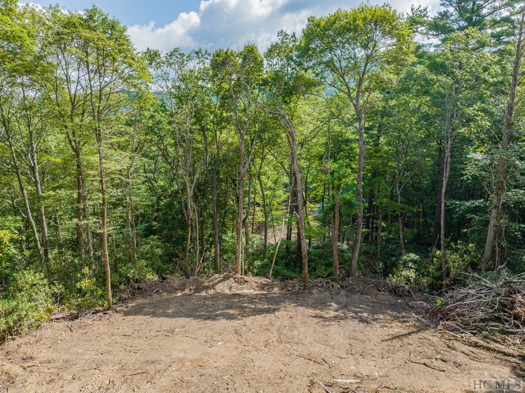 Highlands, North Carolina 28741, United States, ,Land,Pending,20719