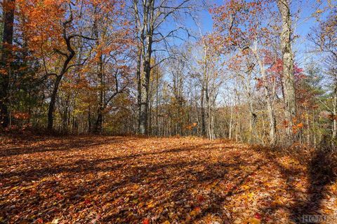 NA High Point View Road Scaly Mountain NC 28775