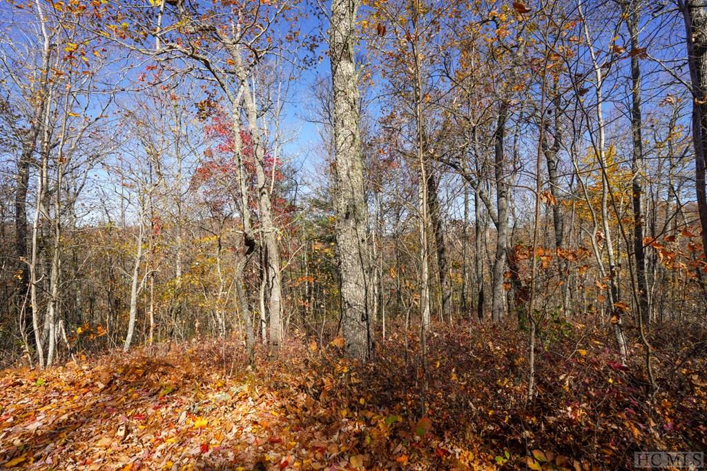 NA High Point View Road