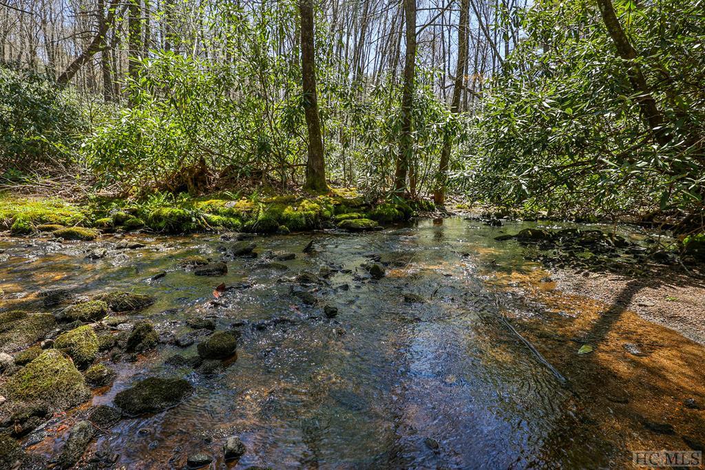 Lot 34 Streamside Lane