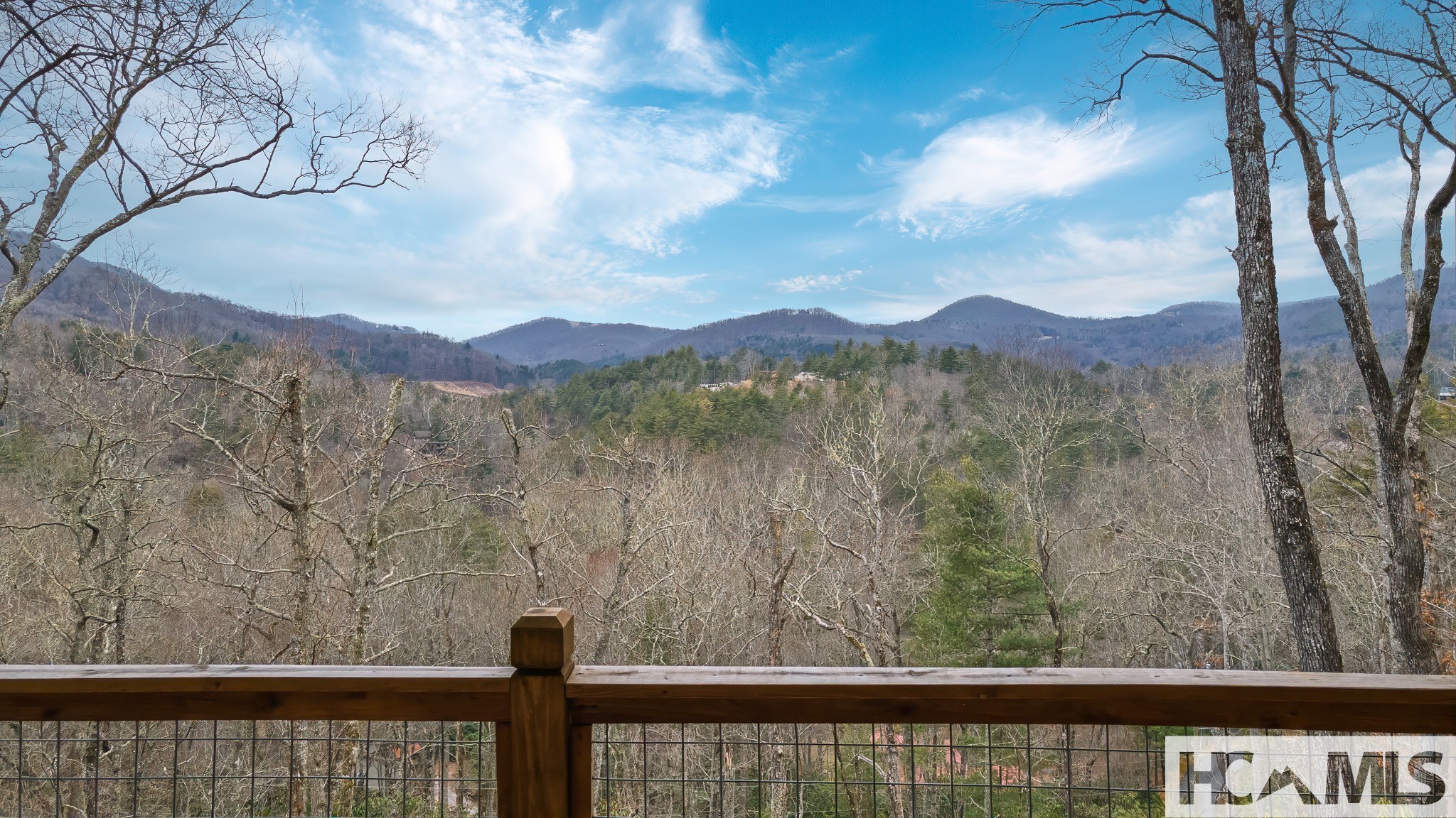 960 Woods Mountain Trail
