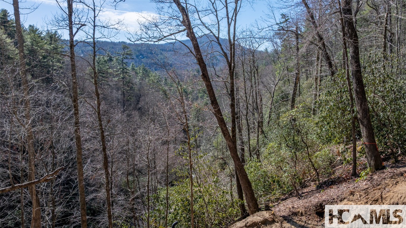 Cashiers, North Carolina 28717, United States, 4 Bedrooms Bedrooms, ,5 BathroomsBathrooms,Residential,Active,163425