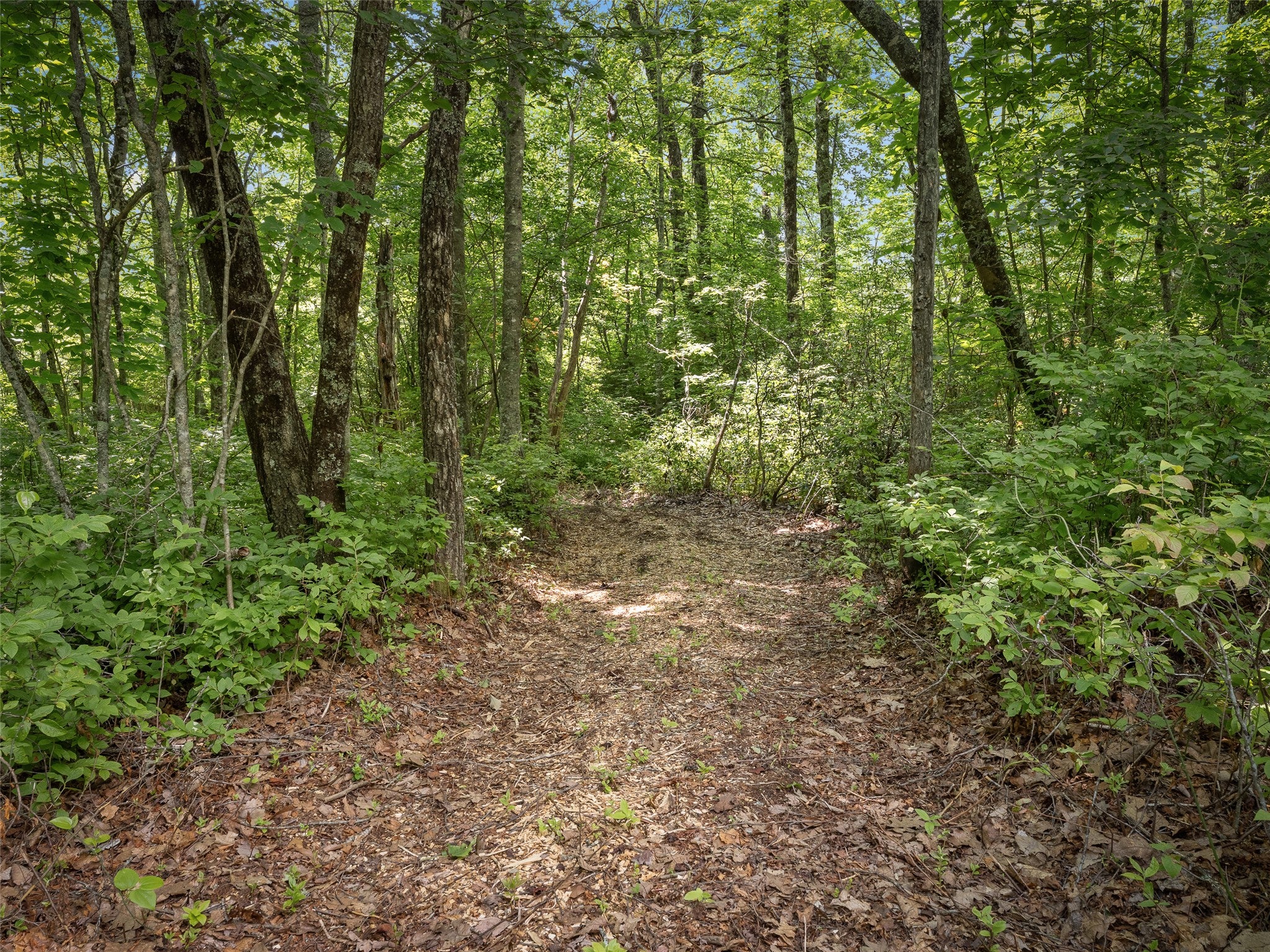 Lot 42 Panthertown Drive