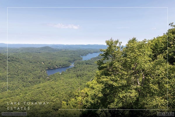 7 MEADOW VIEW RD, BREVARD, NC 28712 - Image e4be7409292b8c51d65cd2f80bc0193e/796901252