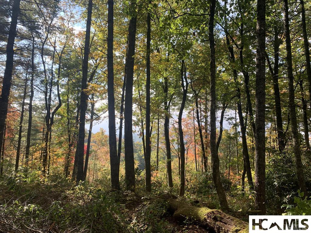 Lot 4 Saratay Falls Drive