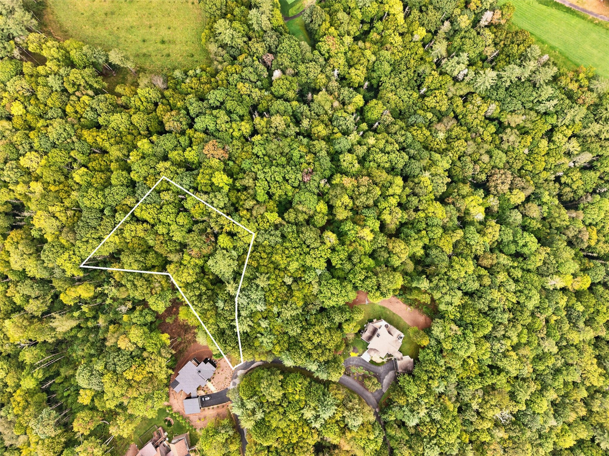 55 Springhead Trail