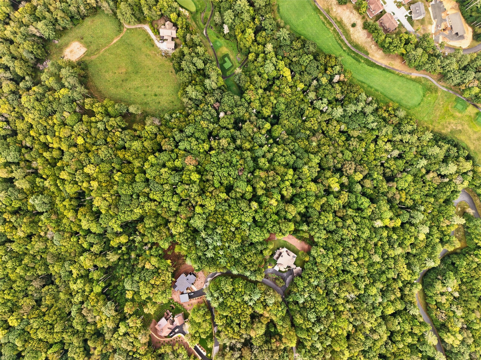 55 Springhead Trail