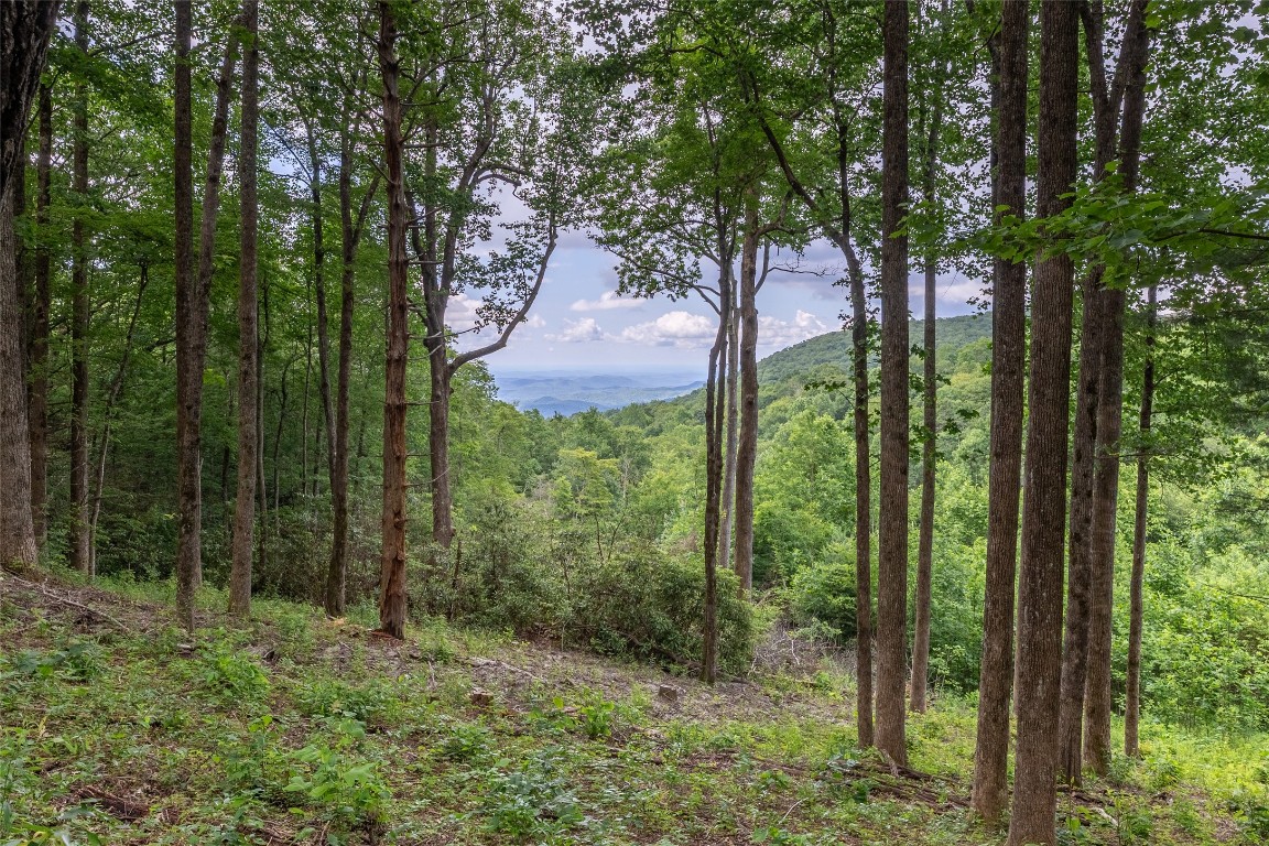 Highlands, North Carolina 28741, United States, ,Land,Active,91930