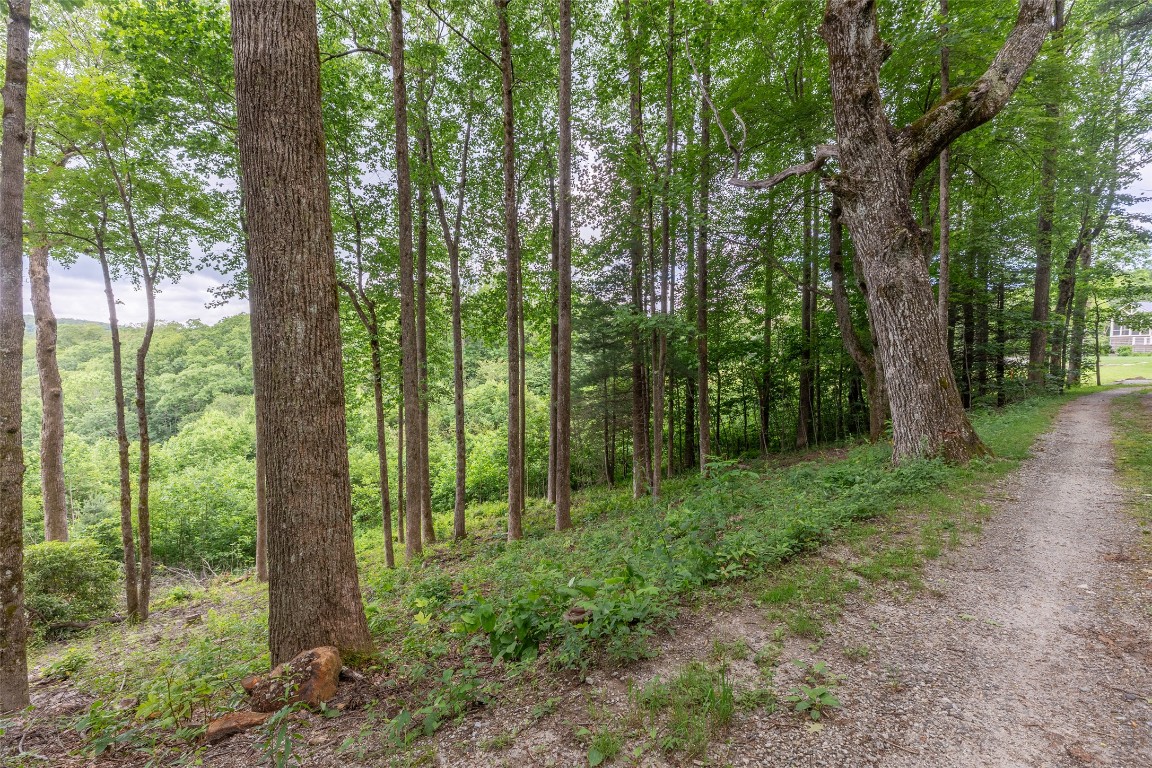 Highlands, North Carolina 28741, United States, ,Land,Active,91930