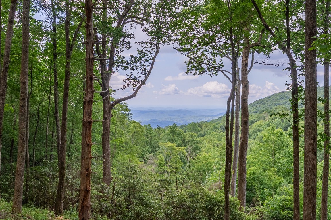 Highlands, North Carolina 28741, United States, ,Land,Active,91930