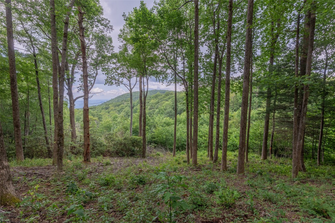 Highlands, North Carolina 28741, United States, ,Land,Active,91930