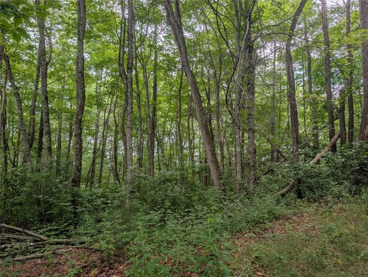 2 HIGHLANDS RD, FRANKLIN, NC 28734 - Image f2fbc2b9f82dae715549053b87d4c5df/1265243313