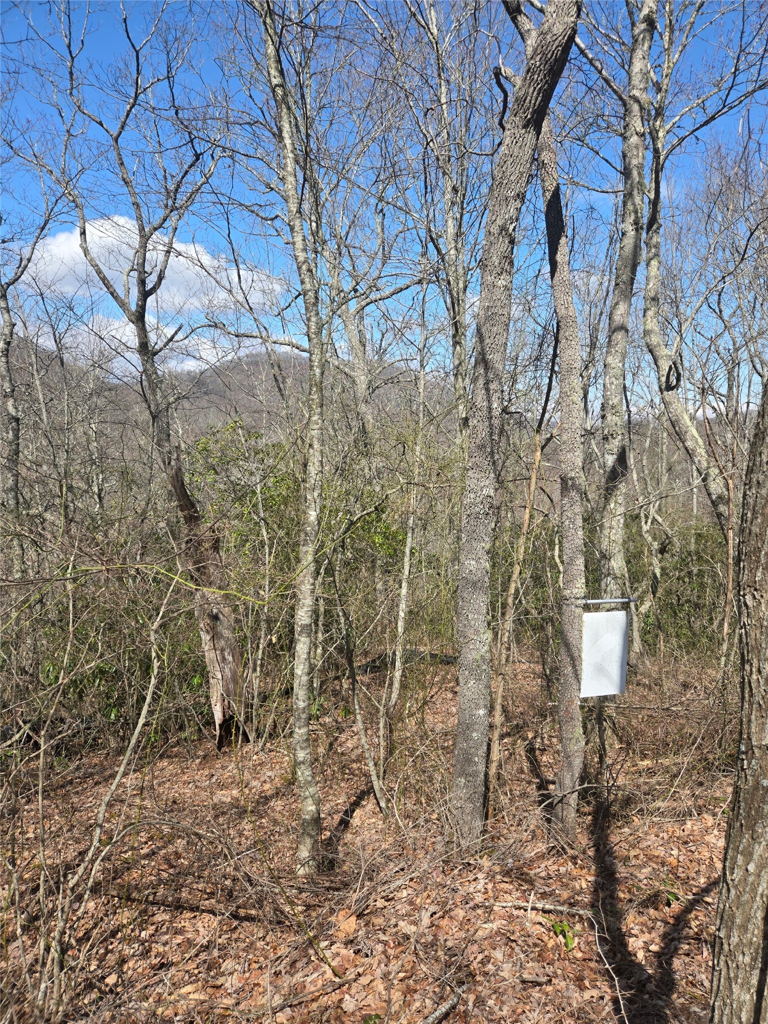 67 Wolf Knob Road