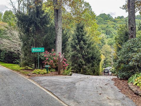 19 Highlands Way Scaly Mountain NC 28775