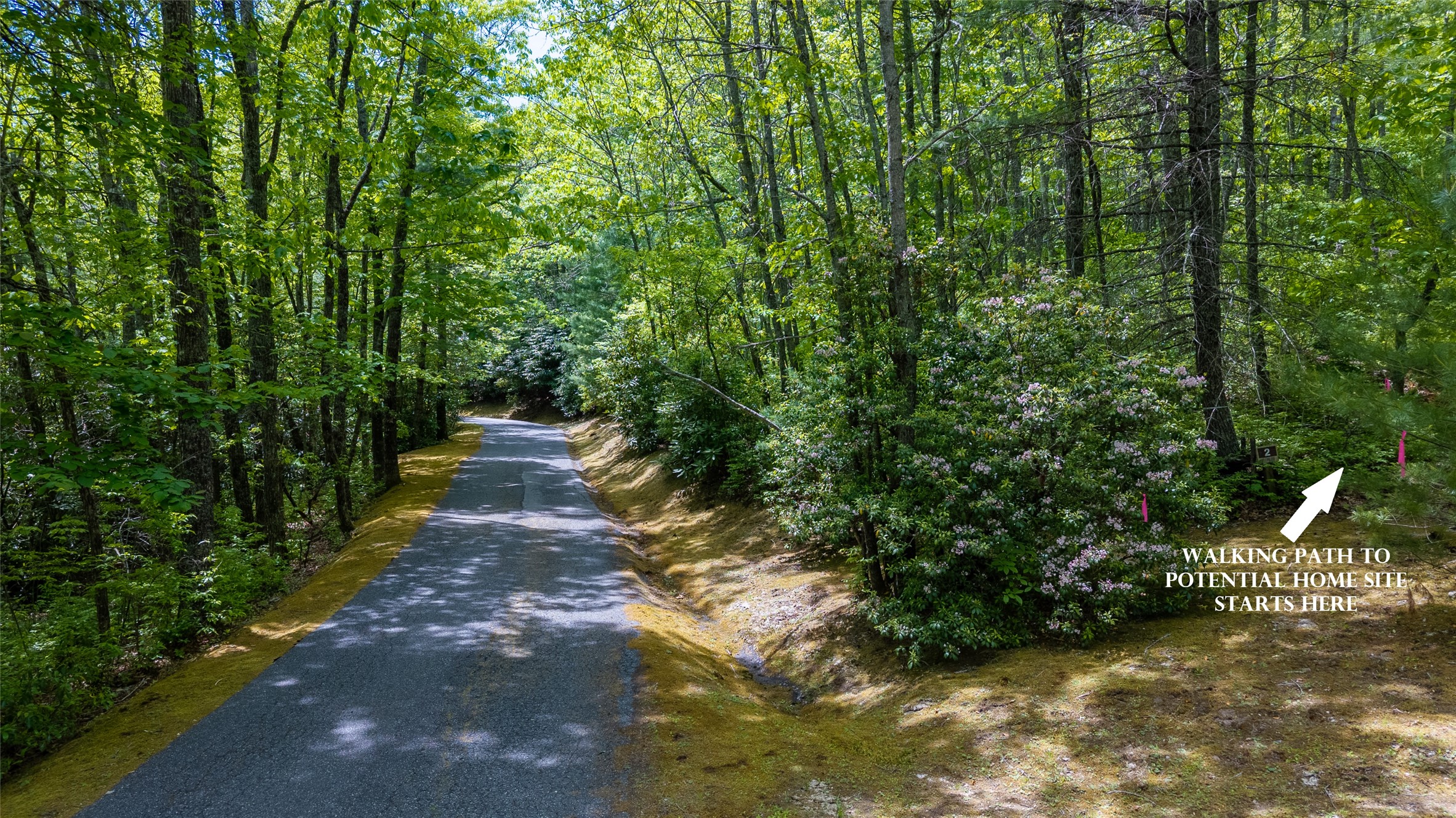 Lot 2 Treasurewood Road