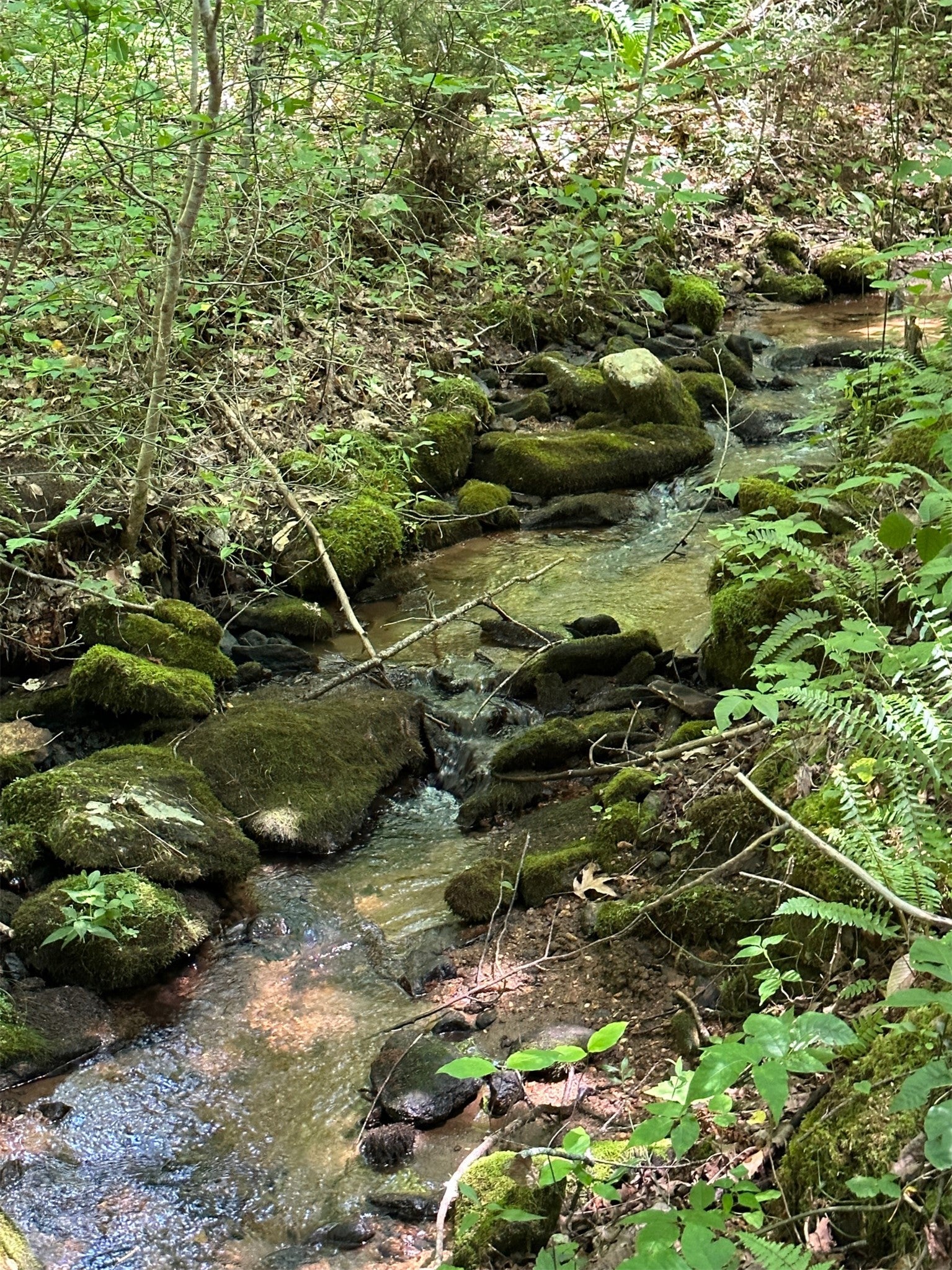 Lot 76 Pasture Road
