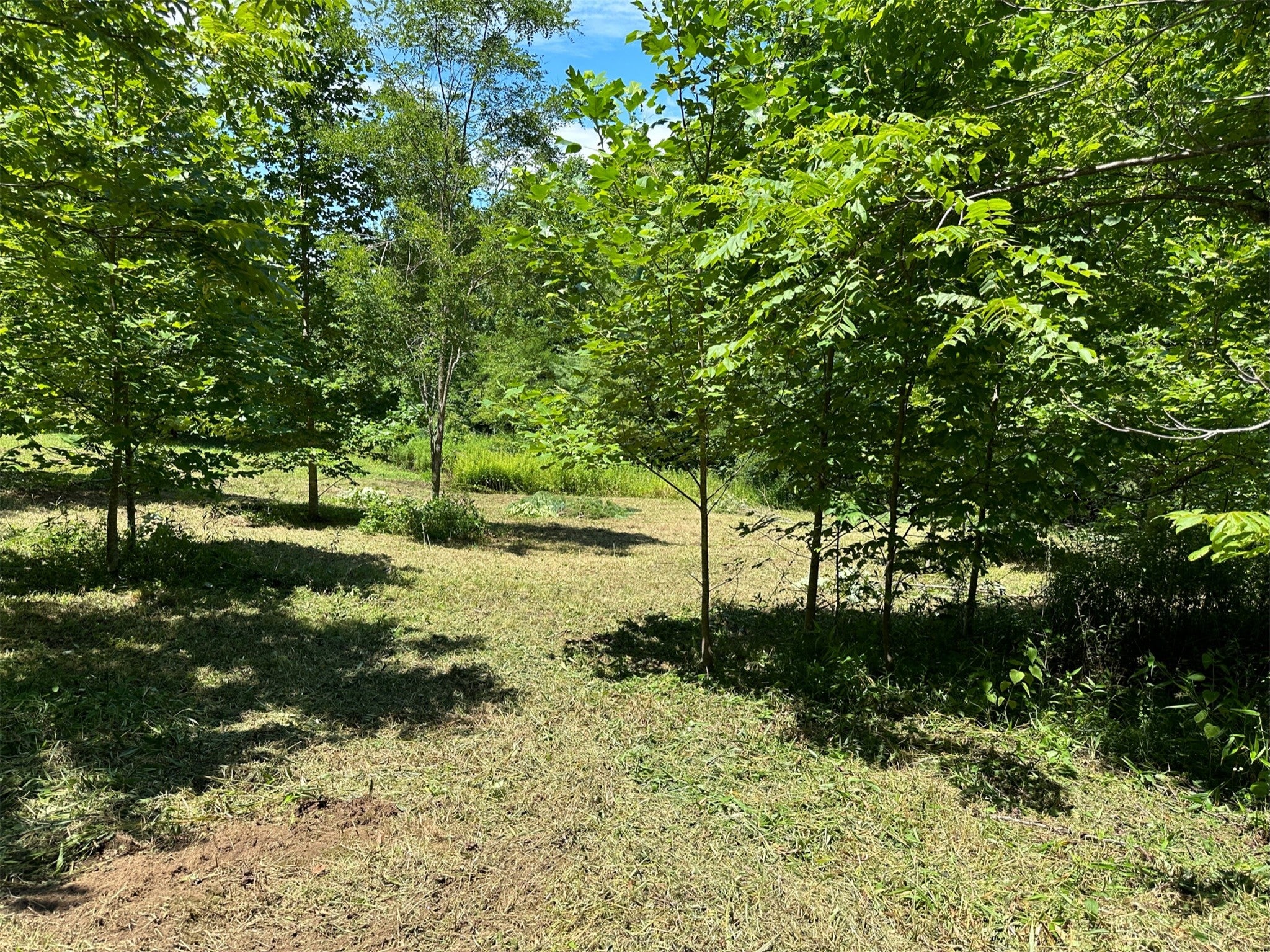 Lot 76 Pasture Road