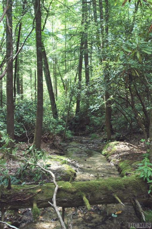Lot 2B Fly Fishing Lane