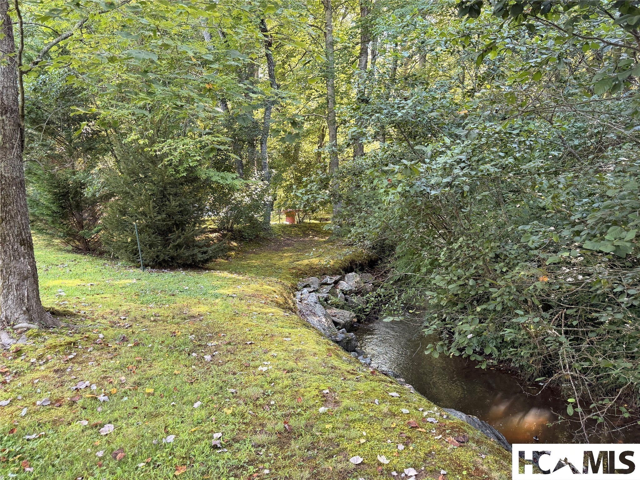 87 Middle Creek Lane