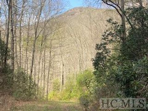 6507 Dillard Road Scaly Mountain NC 28775