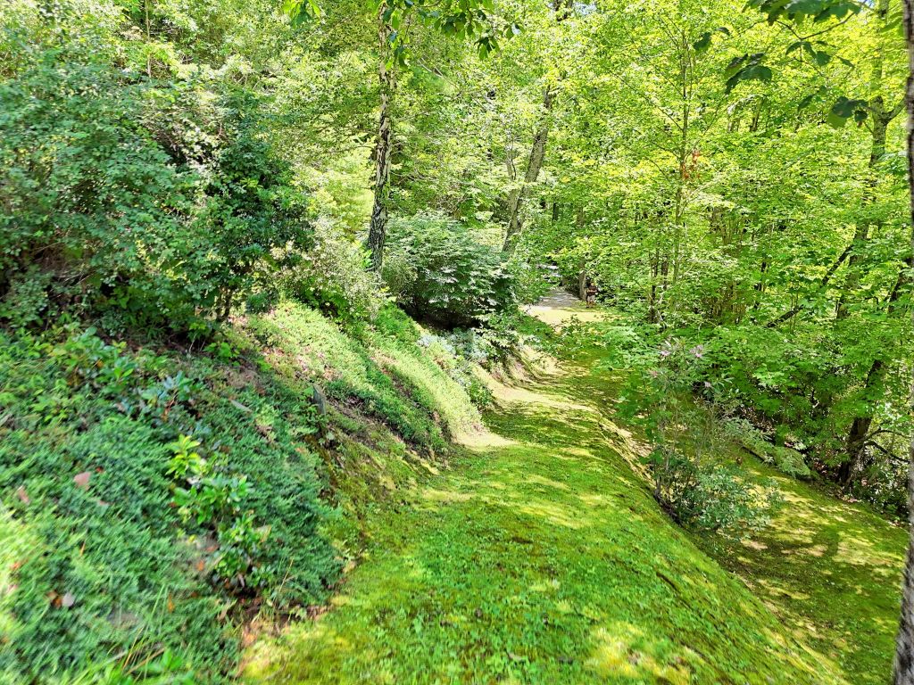 Scaly Mountain, North Carolina 28775, United States, 4 Bedrooms Bedrooms, ,4 BathroomsBathrooms,Residential,Active,172316