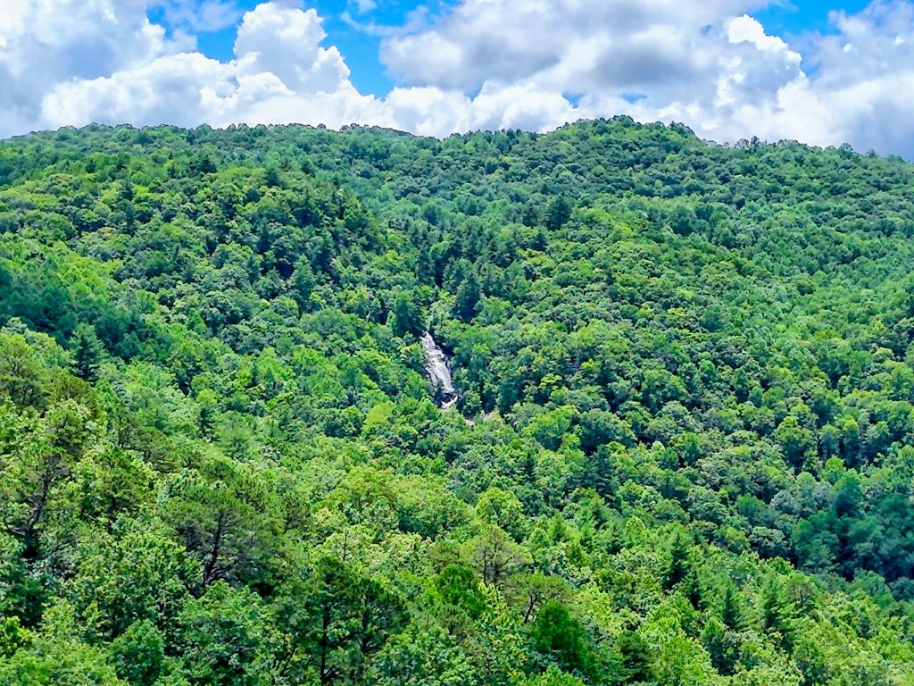 Scaly Mountain, North Carolina 28775, United States, 4 Bedrooms Bedrooms, ,4 BathroomsBathrooms,Residential,Active,172316