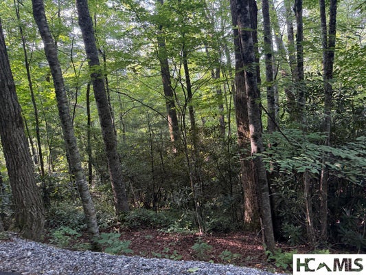 24 WANDERING RDG, GLENVILLE, NC 28736 - Image feea8953ea45acdc01ea79689ba34eca/814733363