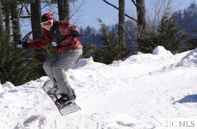 Sapphire, North Carolina 28774, United States, ,Land,Active,111386